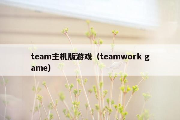 team主机版游戏（teamwork game）