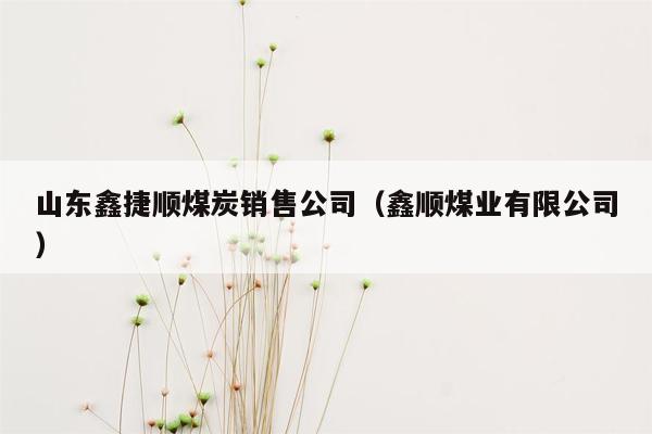 山东鑫捷顺煤炭销售公司（鑫顺煤业有限公司）