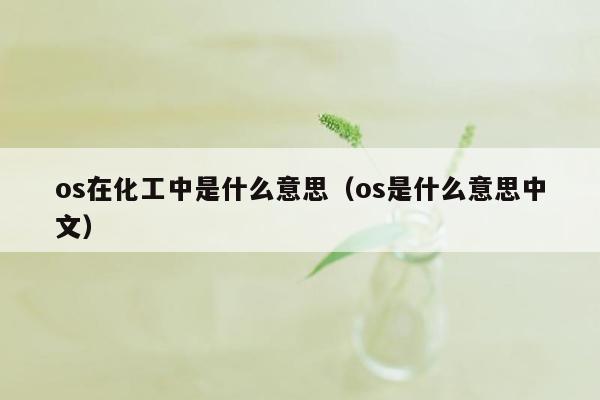 os在化工中是什么意思（os是什么意思中文）