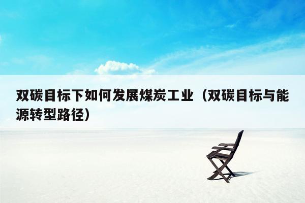 双碳目标下如何发展煤炭工业（双碳目标与能源转型路径）