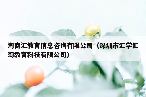 淘商汇教育信息咨询有限公司（深圳市汇学汇淘教育科技有限公司）