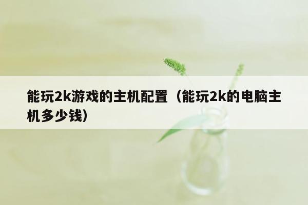 能玩2k游戏的主机配置（能玩2k的电脑主机多少钱）