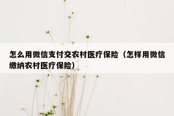 怎么用微信支付交农村医疗保险（怎样用微信缴纳农村医疗保险）