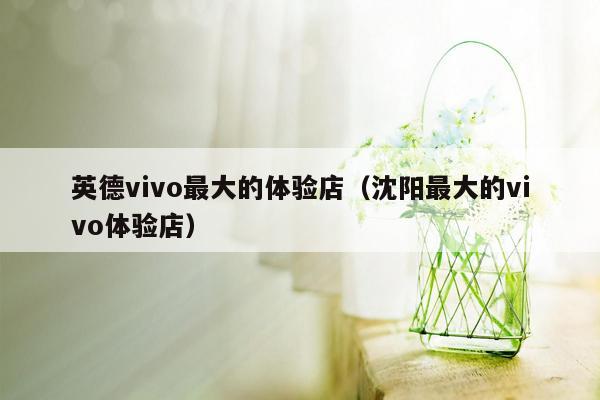 英德vivo最大的体验店（沈阳最大的vivo体验店）