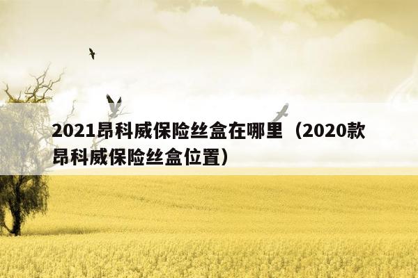 2021昂科威保险丝盒在哪里（2020款昂科威保险丝盒位置）