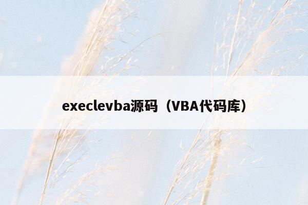 execlevba源码（VBA代码库）