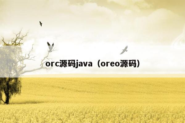 orc源码<strong>java</strong>（oreo源码）