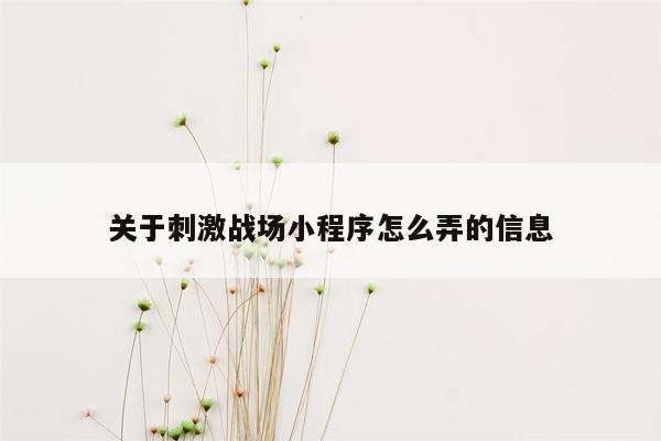 关于刺激战场小程序怎么弄的信息