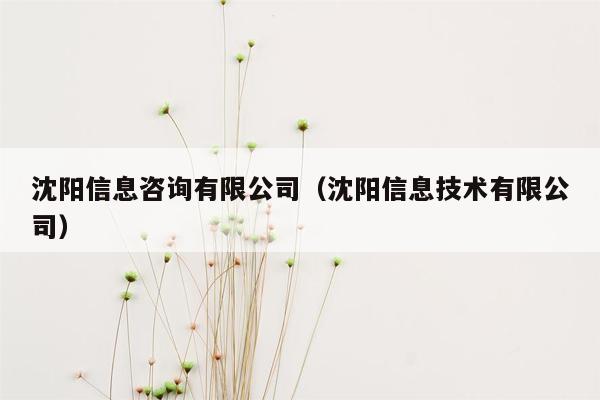 沈阳信息咨询有限公司（沈阳信息技术有限公司）