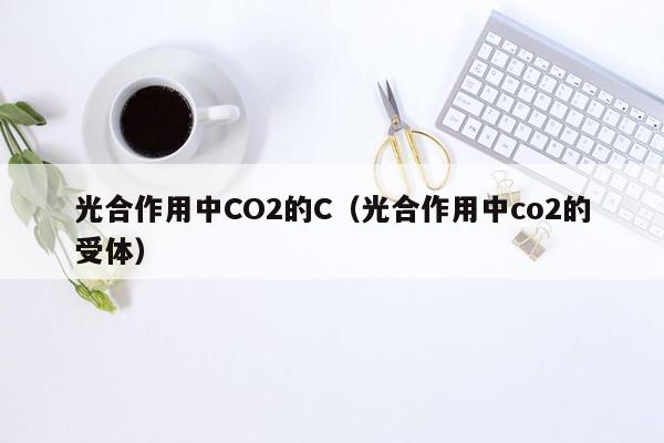 光合作用中CO2的C（光合作用中co2的受体）