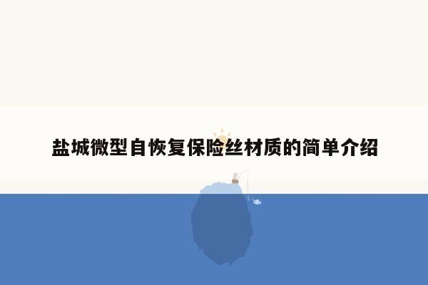 盐城微型自恢复保险丝材质的简单介绍