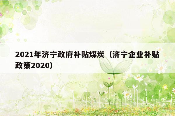 2021年济宁政府补贴煤炭（济宁企业补贴政策2020）