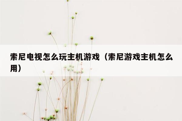 索尼电视怎么玩主机游戏（索尼游戏主机怎么用）