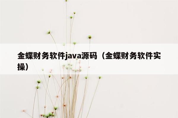 金蝶财务软件<strong>java</strong>源码（金蝶财务软件实操）