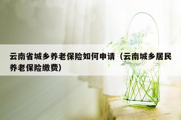 云南省城乡养老保险如何申请（云南城乡居民养老保险缴费）