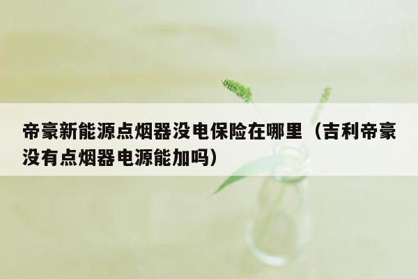 帝豪新能源点烟器没电保险在哪里（吉利帝豪没有点烟器电源能加吗）