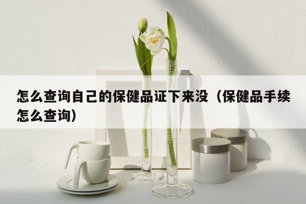 怎么查询自己的保健品证下来没（保健品手续怎么查询）