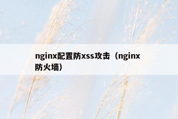 <strong>nginx</strong>配置防xss攻击（<strong>nginx</strong> 防火墙）
