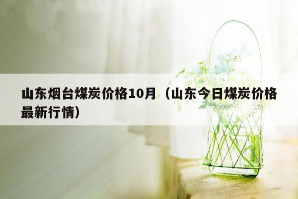 山东烟台煤炭价格10月（山东今日煤炭价格最新行情）