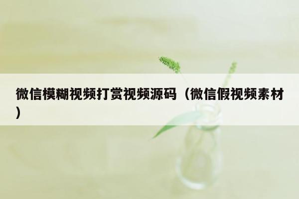 微信模糊视频打赏视频源码（微信假视频素材）