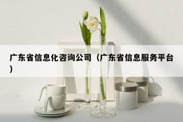 广东省信息化咨询公司（广东省信息服务平台）