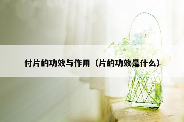 付片的功效与作用（片的功效是什么）