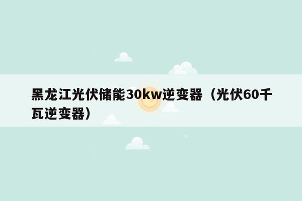 黑龙江光伏储能30kw逆变器（光伏60千瓦逆变器）