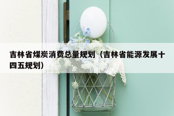 吉林省煤炭消费总量规划（吉林省能源发展十四五规划）