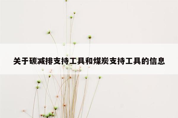 关于碳减排支持工具和煤炭支持工具的信息