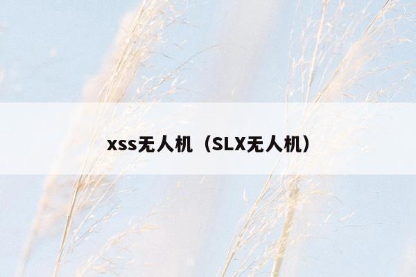 xss无人机（SLX无人机）