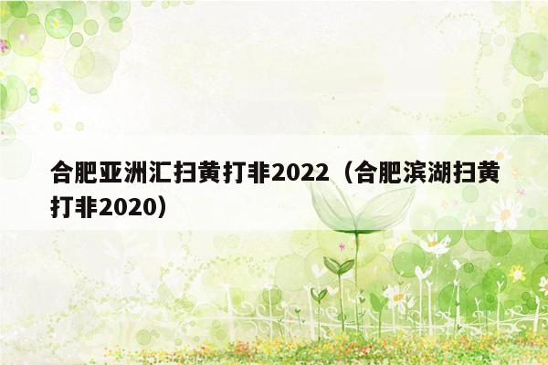 合肥亚洲汇扫黄打非2022（合肥滨湖扫黄打非2020）