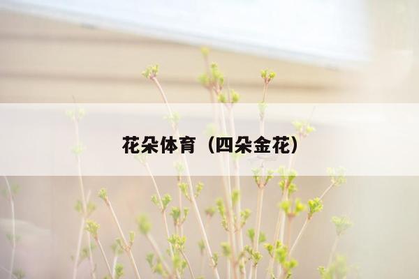 花朵体育（四朵金花）