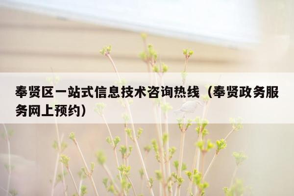 奉贤区一站式信息技术咨询热线（奉贤政务服务网上预约）