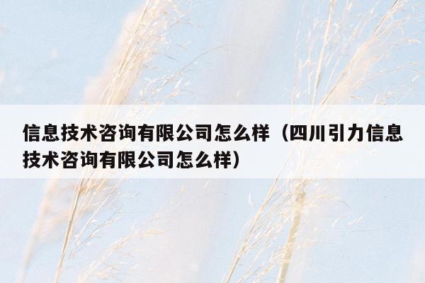 信息技术咨询有限公司怎么样（四川引力信息技术咨询有限公司怎么样）