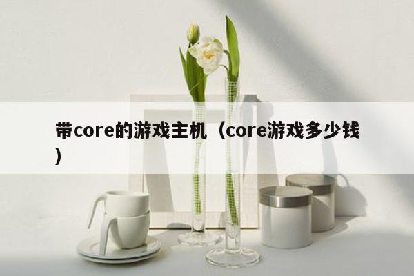 带core的游戏主机（core游戏多少钱）