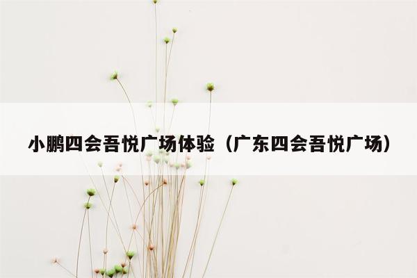 小鹏四会吾悦广场体验（广东四会吾悦广场）