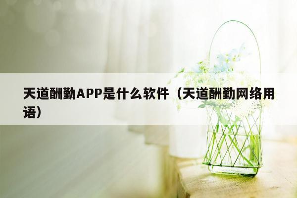 天道酬勤APP是什么软件（天道酬勤网络用语）