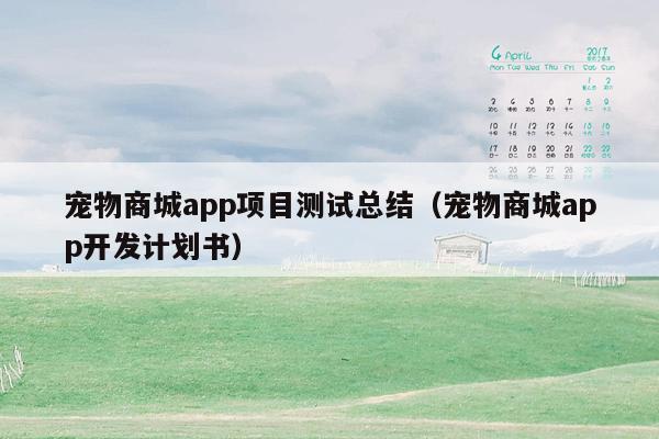 宠物商城app项目测试总结（宠物商城app开发计划书）