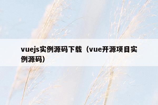 vuejs实例源码下载（vue开源项目实例源码）