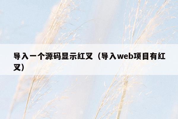 导入一个源码显示红叉（导入web项目有红叉）