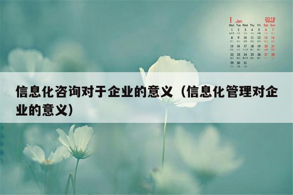 信息化咨询对于企业的意义（信息化管理对企业的意义）