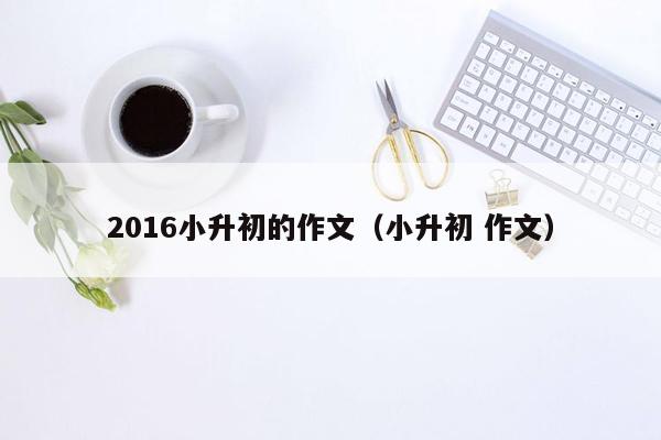 2016小升初的作文（小升初 作文）