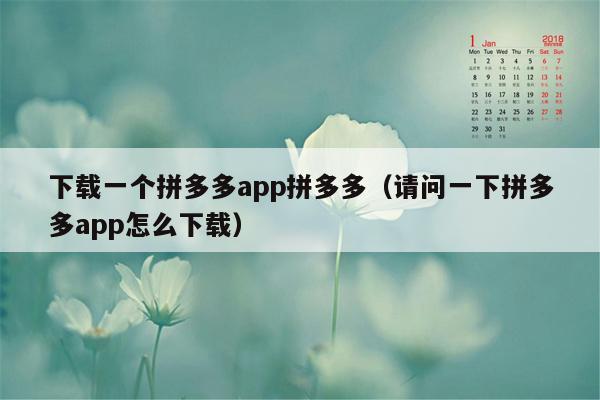 下载一个拼多多app拼多多（请问一下拼多多app怎么下载）