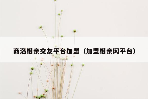 商洛相亲交友平台加盟（加盟相亲网平台）