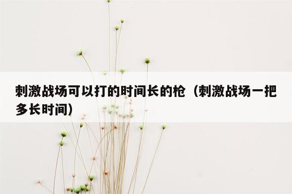 刺激战场可以打的时间长的枪（刺激战场一把多长时间）