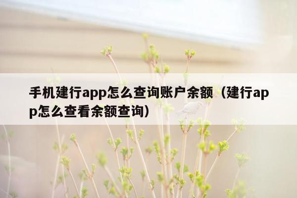 手机建行app怎么查询账户余额（建行app怎么查看余额查询）