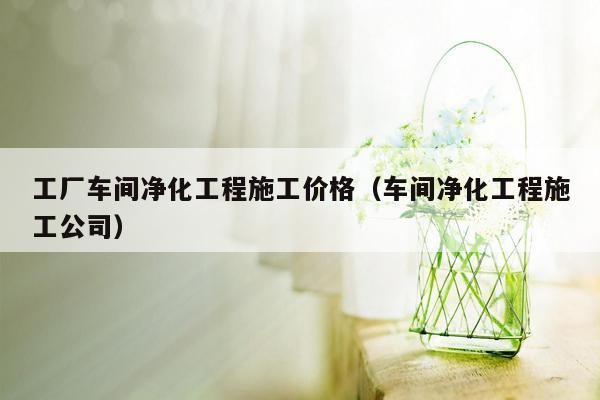 工厂车间净化工程施工价格（车间净化工程施工公司）