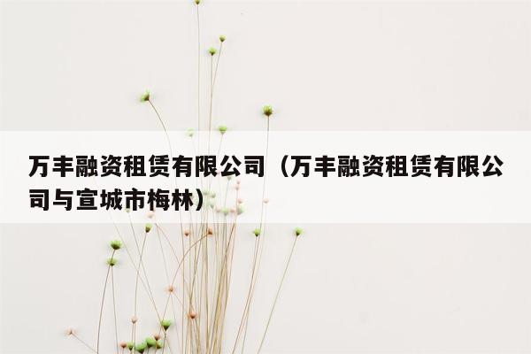 万丰融资租赁有限公司（万丰融资租赁有限公司与宣城市梅林）