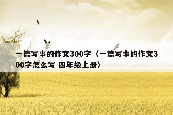 一篇写事的作文300字（一篇写事的作文300字怎么写 四年级上册）