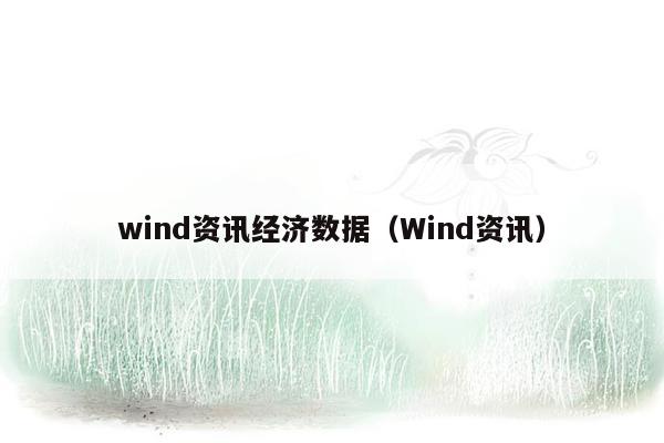 wind资讯经济数据（Wind资讯）